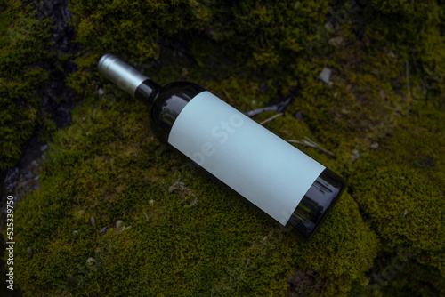 Beautiful bottle of wine near moss waterfall