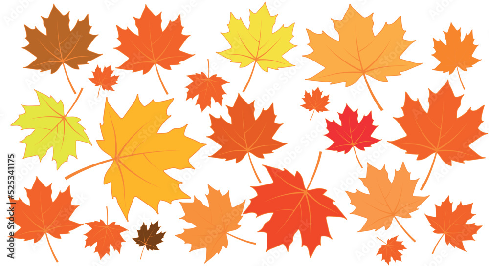 maple leaf of different shapes and colors on white vector maple leaf of different shapes and colors on white vector