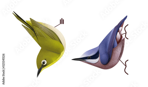 Canvas Print Two Birds Oriental White Eye & Eurasian Nuthatch