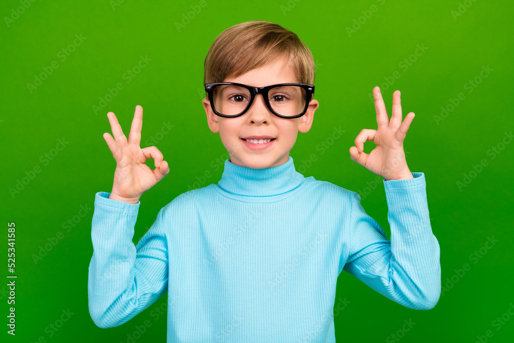 Photo of positive pretty small son wear turquoise turtleneck spectacles showing two okey signs isolated green color background Photo of positive pretty small son wear turquoise turtleneck spectacles showing two okey signs isolated green color background