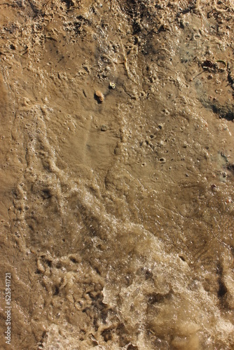 footprint in the sand