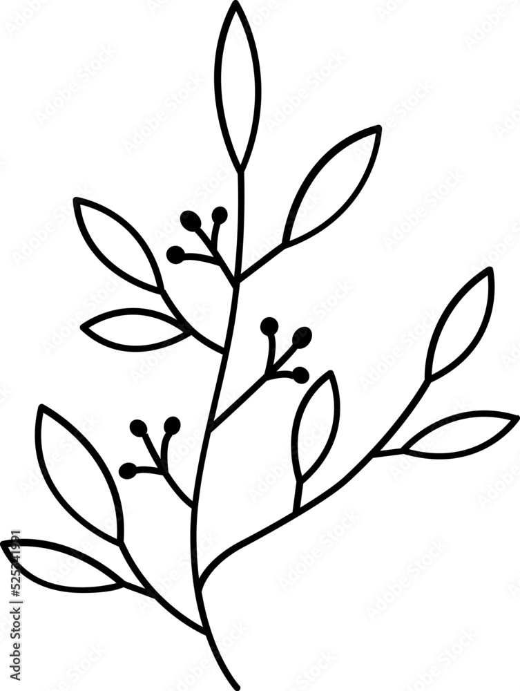 floral flower plant lineart,doodle for invitation card