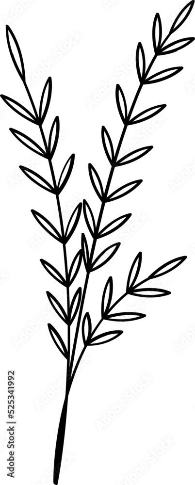 Naklejka premium floral flower plant lineart,doodle for invitation card