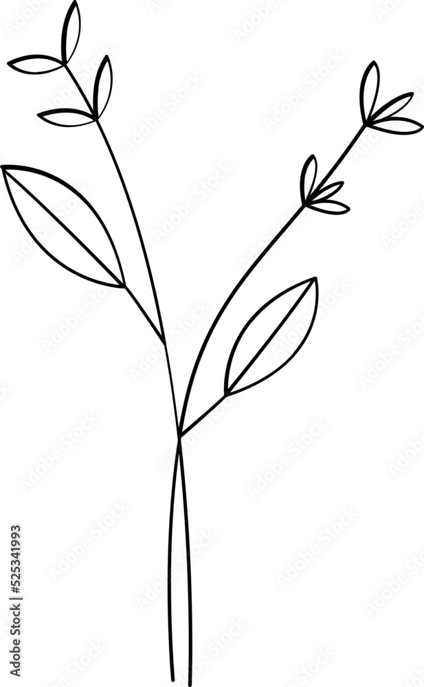 floral flower plant lineart,doodle for invitation card