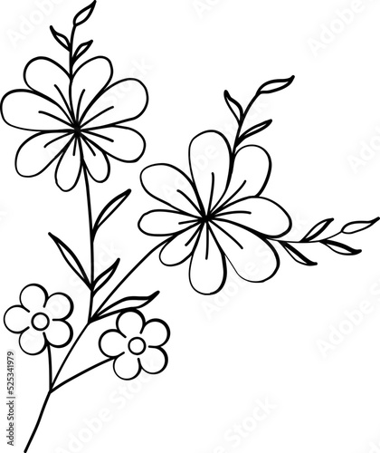 floral flower plant lineart,doodle for invitation card
