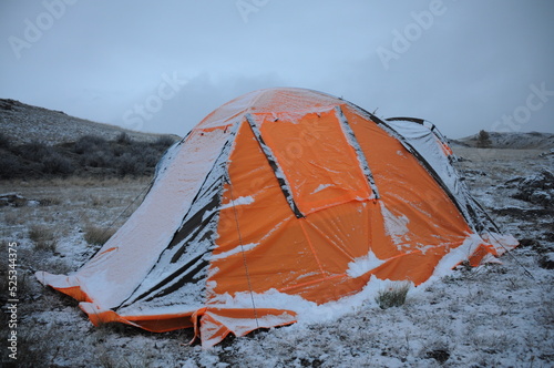 Hiker orange tent in snowy mountain of Altai  Russia