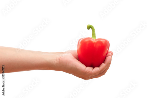 Red bell pepper in a mans hand on a white isolated background