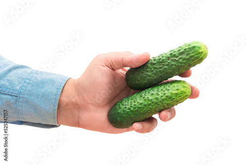 Fresh cucumbers in a male hand on a white isolated background. The concept of cooking
