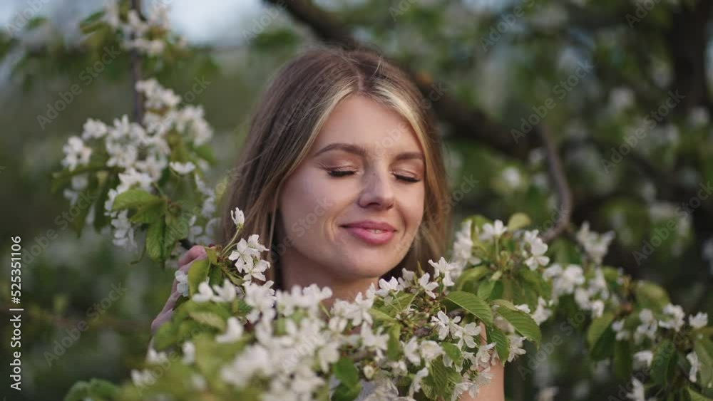 beautiful young woman is enjoying aroma of cherry blossom of tree branch in orchard in spring day beautiful young woman is enjoying aroma of cherry blossom of tree branch in orchard in spring day
