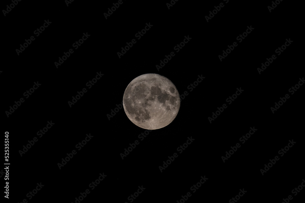 Immer wieder faszinierent, der Vollmond Immer wieder faszinierent, der Vollmond