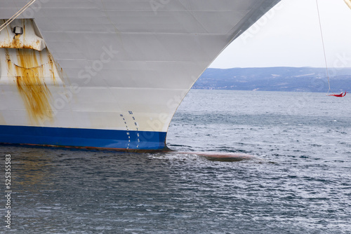 Bugwulst eines Kreuzfahrtschiffes im Hafen im Werft photo