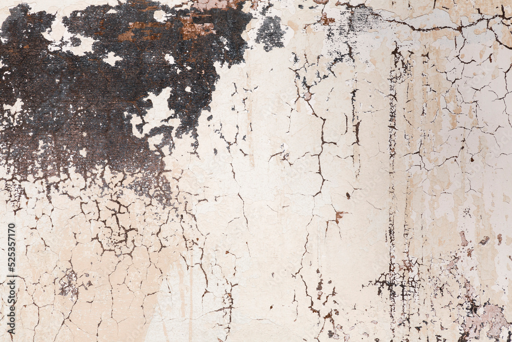 Fototapeta premium Old concrete wall fragment