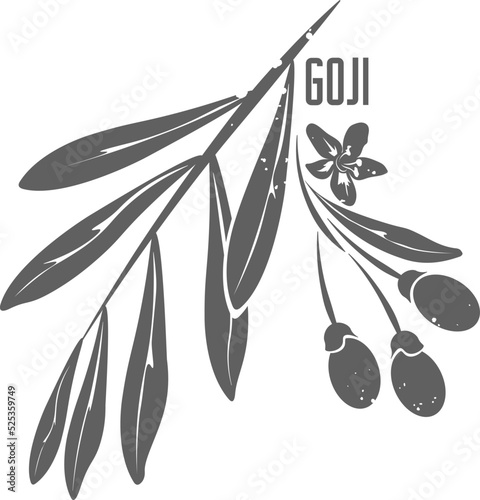 Branch goji berry with leafs and flower isolated vector silhouette. Branch with leaves medicinal herbal. Goji berries silhouette illustration for pharmaceuticals and cosmetology.