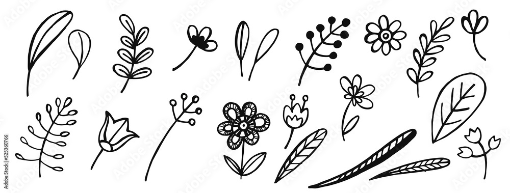 line art cartoon flowers and leaves, hand drawn illustration, black and white sketch