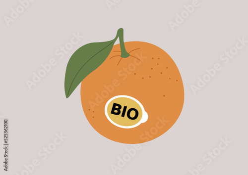An isolated image of an orange with a sticker on it, healthy lifestyle, vegan and vegetarian diet