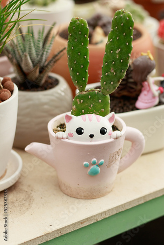 A Nopalea cochenillifera or cochineal cactus in a cute teacup flowerpot design photo