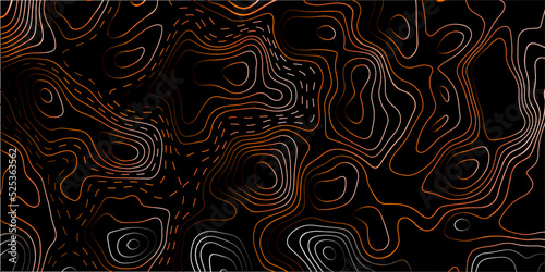 Black and white abstract background Abstracts Topographic map and gold lines, contour background, Vector contour topographic map background. Topography and geography map grid abstract backdrop.