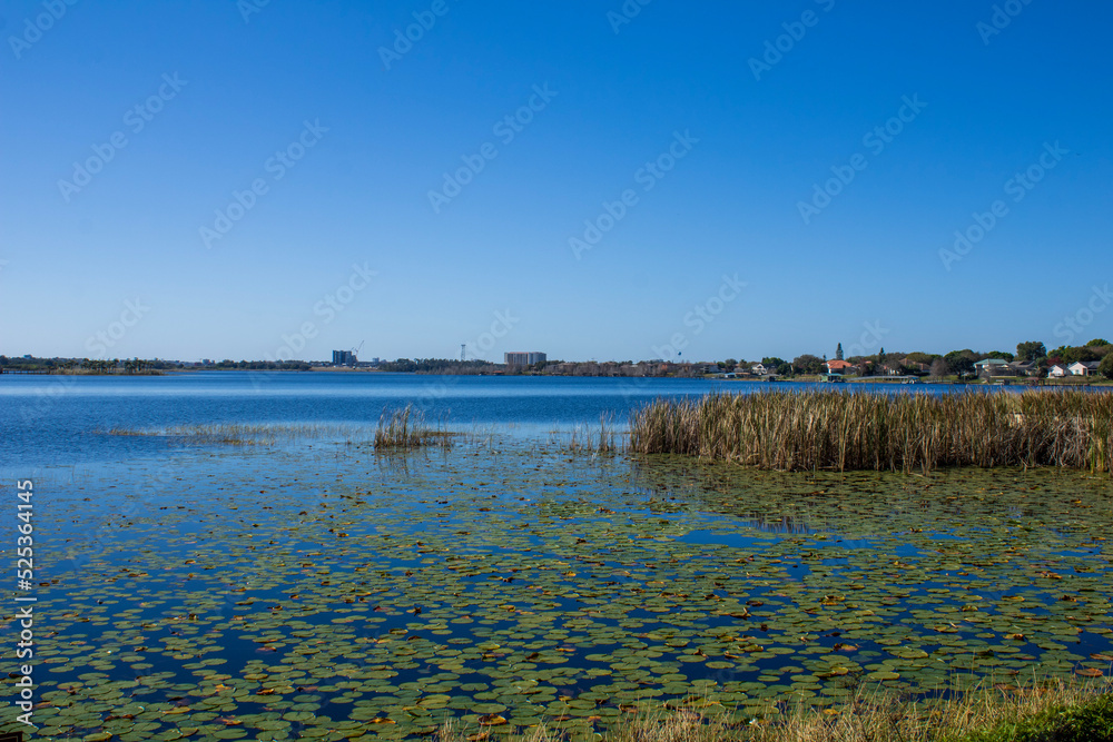 landscape with a lake and sky