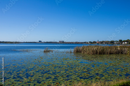 landscape with a lake and sky