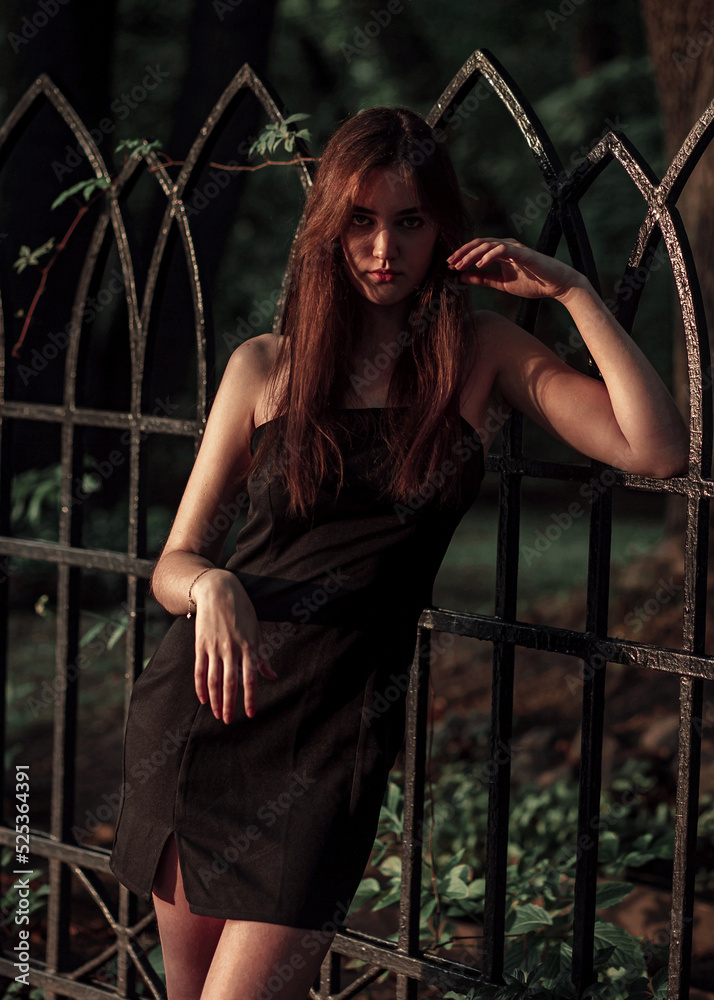 Beautiful Young Woman In Fashion Black Dress Posing In Black Short Dress Near The Black Fence On Beautiful Young Woman In Fashion Black Dress Posing In Black Short Dress Near The Black Fence On