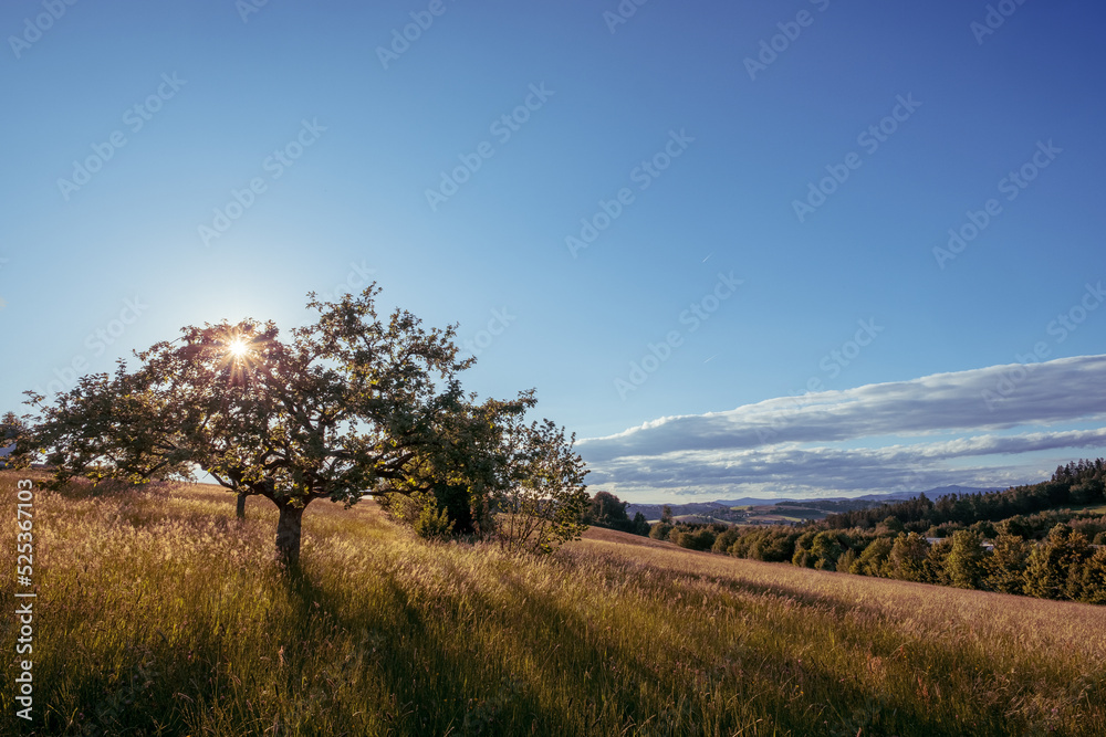 Obraz premium Herbsttraum