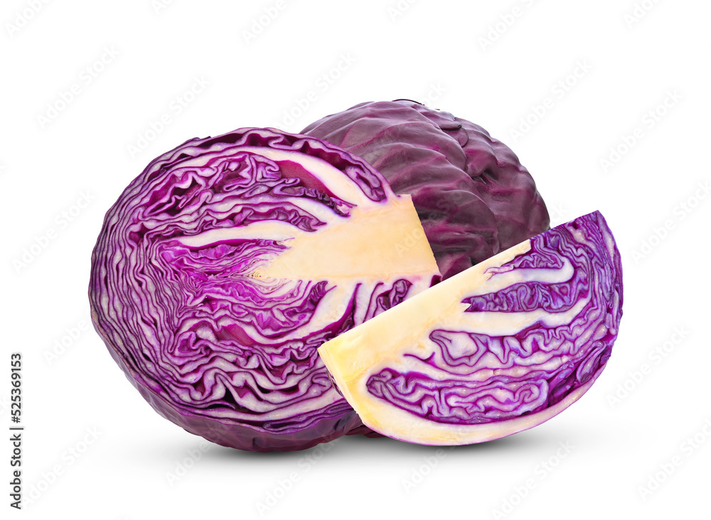 Fototapeta premium Red cabbage on white background