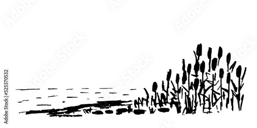 Simple vector drawing with charcoal pencil. Bank of the river, thickets of reeds. Wild lake, duck hunting. Nature and landscape.