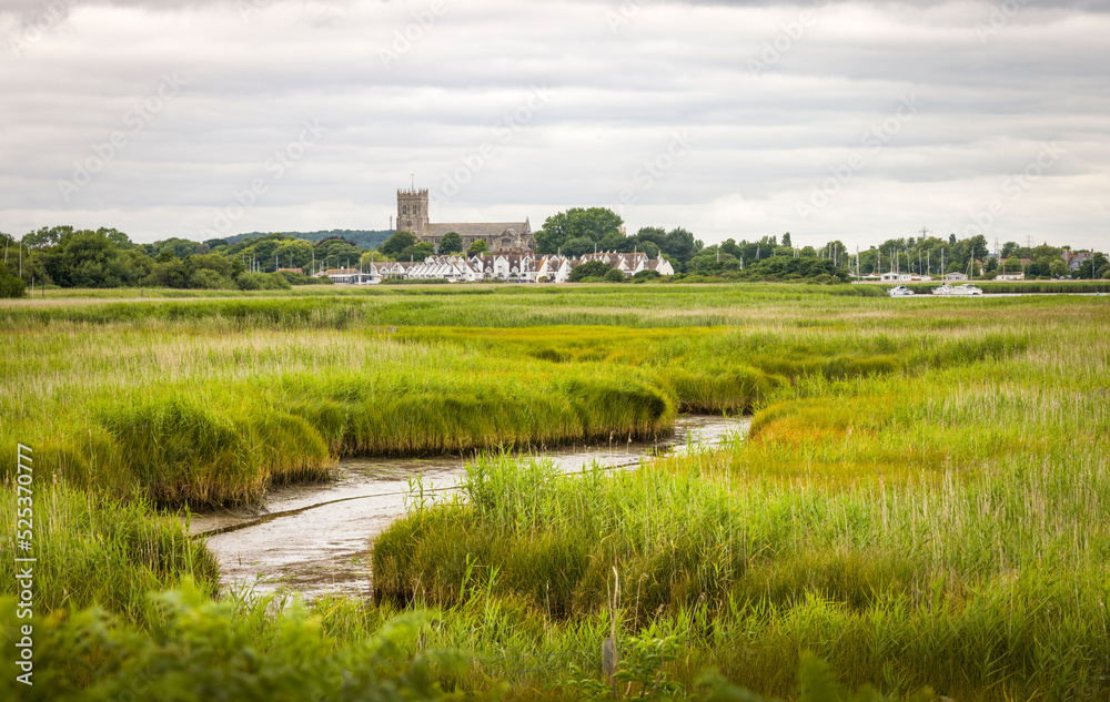 Hengistbury Head nature reserve wetlands, Christchurch Dorset UK