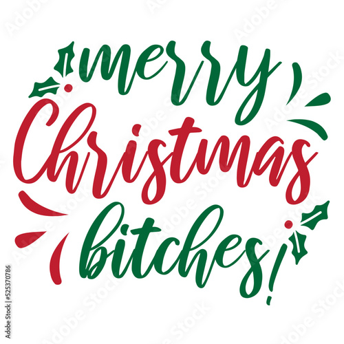 Merry Christmas Bitches