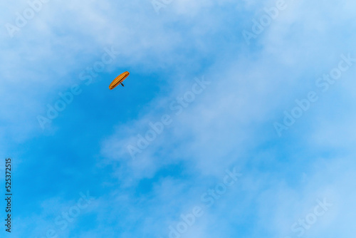 Gliding freely in the summer sky