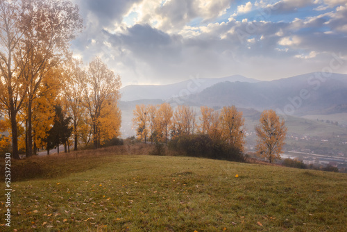 autumn in the carpathian mountains at sunrise. foggy morning in the rural valley of volovets. trees in yellow foliage on the grassy hillside meadow