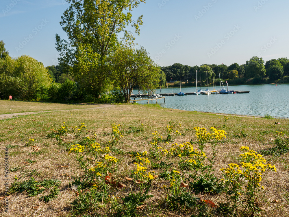 Obraz premium Der Aasee von Bocholt