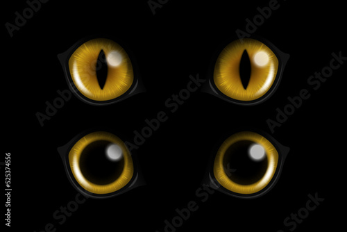 Vector 3d Realistic Yellow Round Glowing Cats Eyes of a Black Cat Set. Cat Look in the Dark Black Background Closeup. Glowing Cat or Panther Eyes