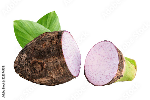 Taro root and slice with leaf isolated on white background.