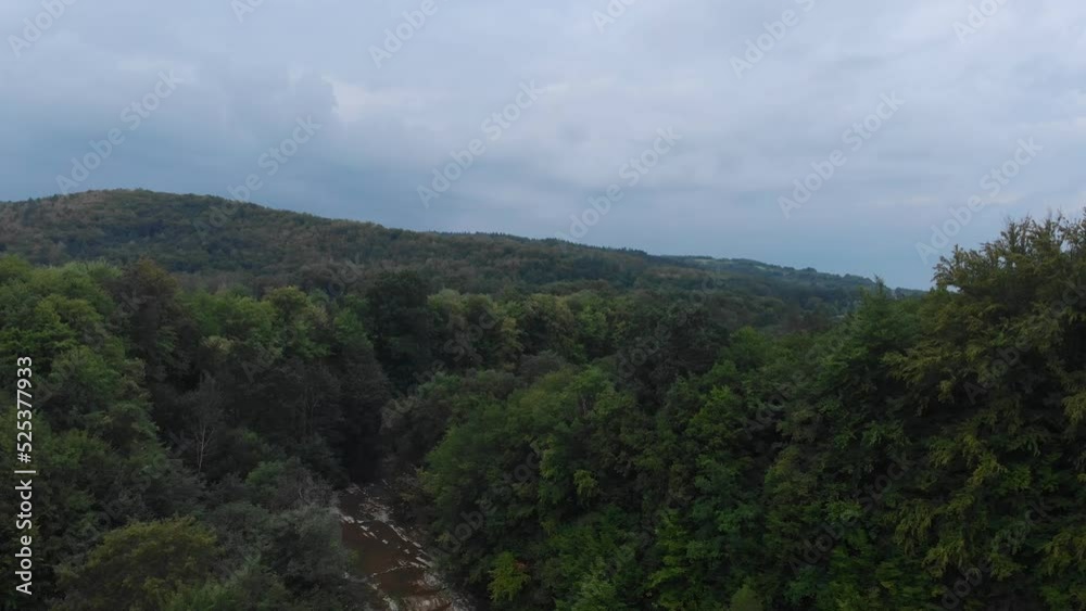 Mountain slope covered with forest. Subcarpathian region, Poland. Bird's-eye view. Mountain slope covered with forest. Subcarpathian region, Poland. Bird's-eye view.
