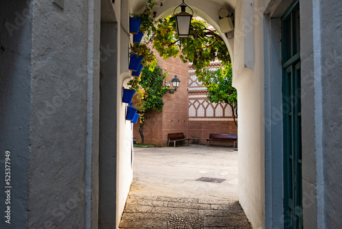 traditional small alley in spanish andalusian style with blue pots and scenic natural light. Classic spanish small town with white walls © davide bonaldo
