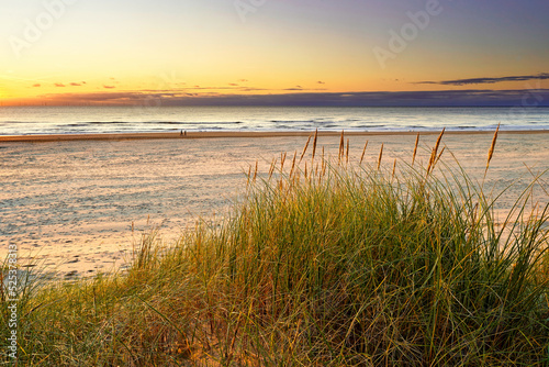 Beach grass and the ocean at sunset. North Holland dune reserve, Egmond aan Zee, Netherlands. photo
