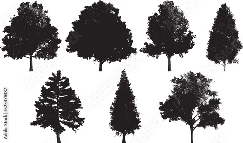 Set of tree silhouettes in dotwork style. For the forest or park background. Cedar, oak, robinia, maple black silhouettes.