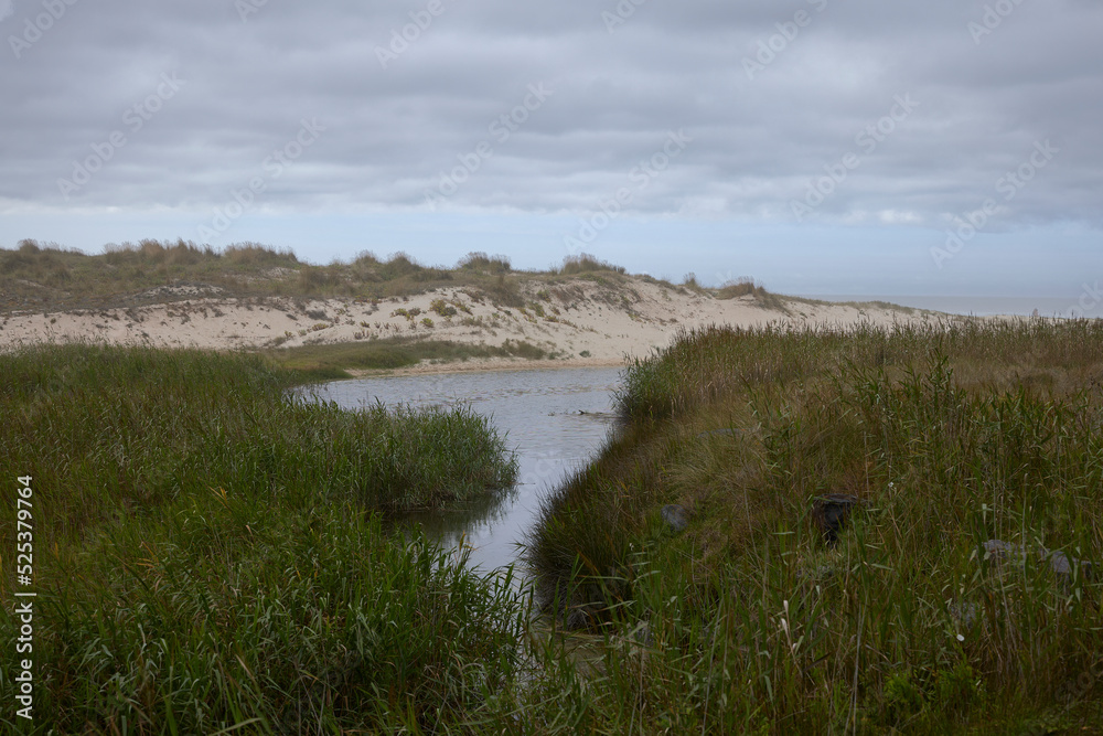 Fototapeta premium Laxe (Spain), August 20, 2022. Traba Beach. It is a protected area for the many migratory birds and for its dunes