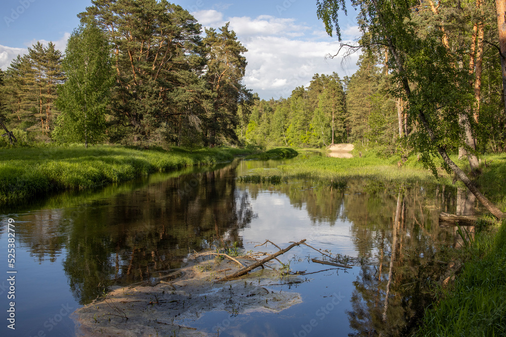 Bright sunny landscape with pine trees near the river. The sun's rays illuminate the young greenery and trees. The sky and clouds are reflected in the river. Bright sunny landscape with pine trees near the river. The sun's rays illuminate the young greenery and trees. The sky and clouds are reflected in the river.