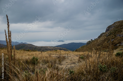 Parque Itatiaia