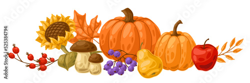 Background with autumn plants. Harvest illustration of vegetables and leaves.
