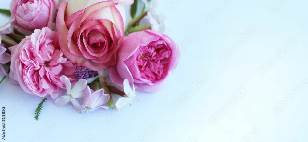 Fototapeta premium Delicate pink roses on a white background. Festive flower arrangement. Background for a greeting card.
