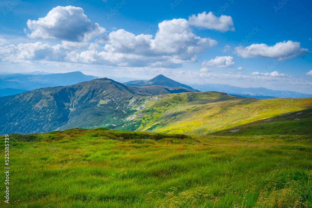 Carpathian mountains landscape. Summer trekking route in alpine highlands range. Green grass meadow, blue sky with white clouds in background. Traveling, hiking, freedom and active lifestyle concept.