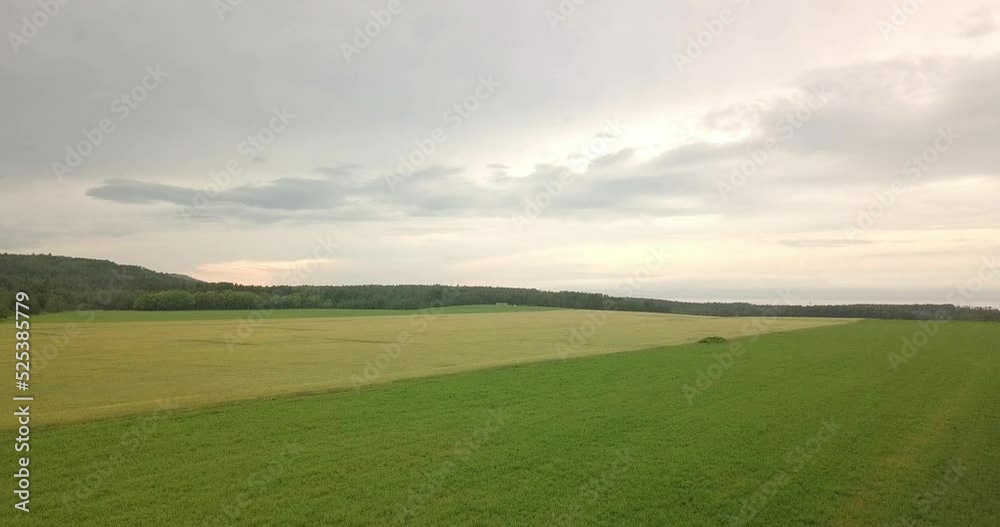 Aerial crane shot drone video moving up over a field showing the yellow and green contrast of the grass Aerial crane shot drone video moving up over a field showing the yellow and green contrast of the grass