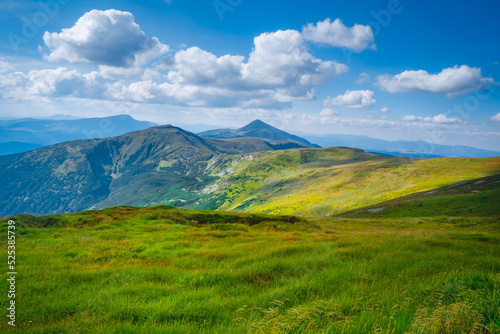 Carpathian mountains landscape. Summer trekking route in alpine highlands range. Green grass meadow, blue sky with white clouds in background. Traveling, hiking, freedom and active lifestyle concept.