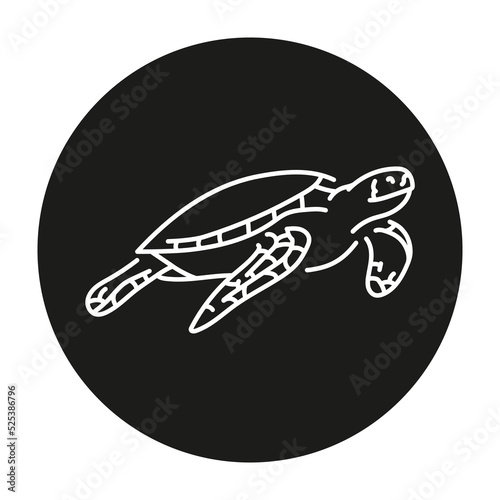 Sea ​​turtle color line illustration. Marine mammals.