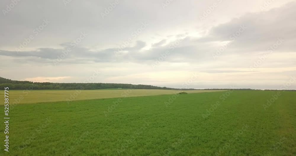 Aerial drone view flying in mid-air flying slowly over a field Aerial drone view flying in mid-air flying slowly over a field
