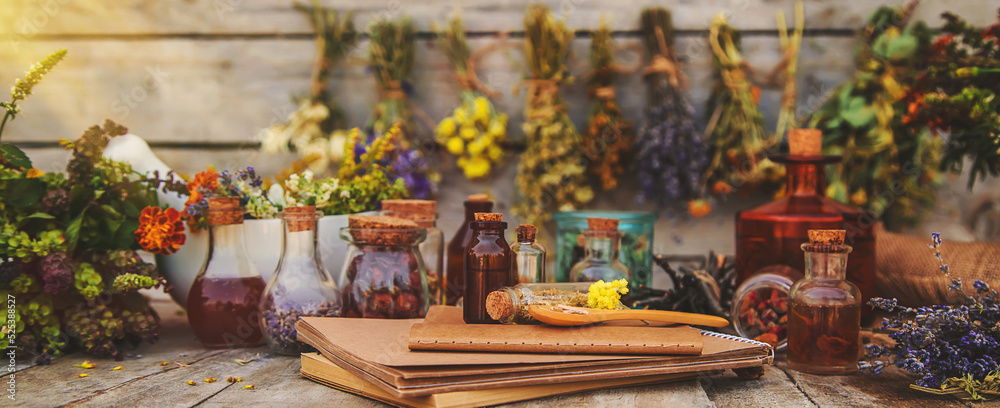 Medicinal herbs and tinctures homeopathy. Selective focus.