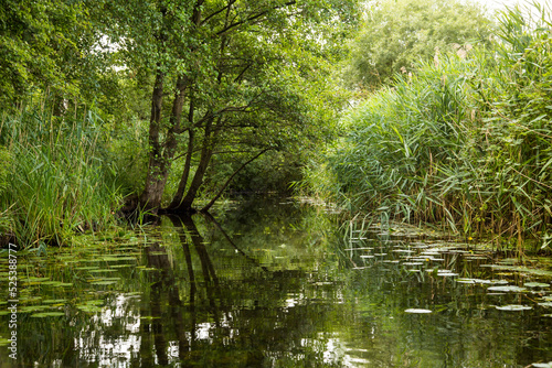 Wasserwanderung, Fluss im Wald, Wasserweg
